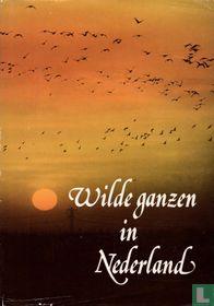 Wilde ganzen in Nederland for sale