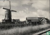 's-HEER ARENDSKERKE, Molenzicht
