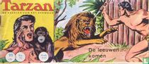 De leeuwen komen for sale