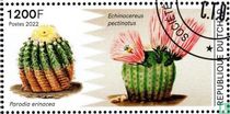 Cacti