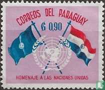 15 ans Organisation des Nations Unies acheter