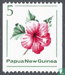 Hibiscus / flore acheter