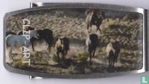 Clip-art [paarden]