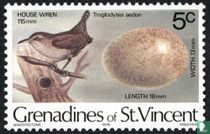 Des oiseaux acheter