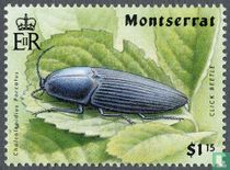 Insects