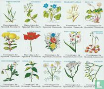 Deense flora