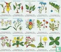 Deense flora