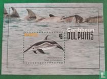 dauphins