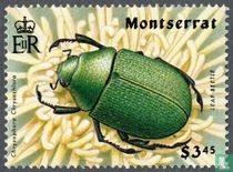 Insects