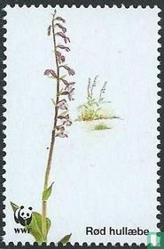 Deense orchideeën