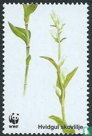 Deense orchideeën