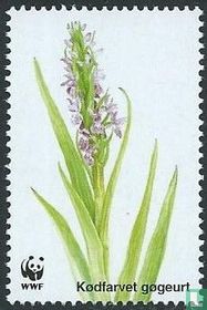 Deense orchideeën