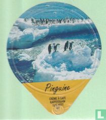 Pinguine 13