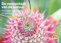 Formal language of nature