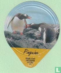 Pinguine 26