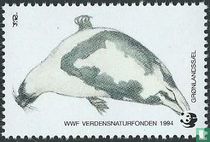 Fauna en Flora van Groenland