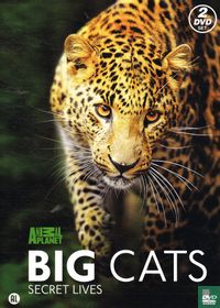 Big Cats - Secret Lives