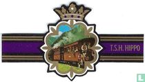 Trein in Zillertal, Tirol kopen