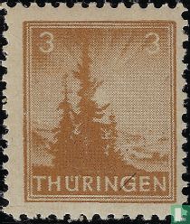 pine trees