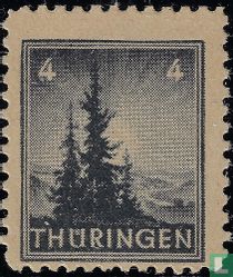 Pine trees
