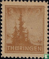 Pine trees
