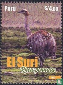 Les oiseaux