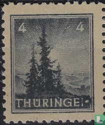 Pine trees