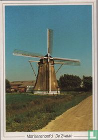 Moriaanshoofd - De Zwaan