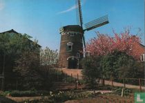 LIENDEN, Molen "De Zwaan"