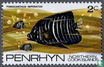 Fishes of the Pacific