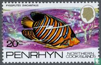 Fishes of the Pacific
