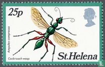 Insects
