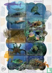 Découvrez la nature - Vie sous-marine Bonaire