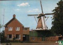 Molen "De Wijert"