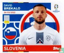 David Brekalo kaufen