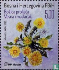 Vesna und Löwenzahn