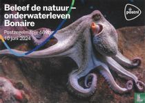 Découvrez la nature - Vie sous-marine Bonaire