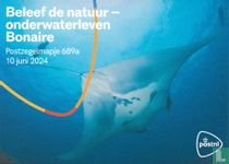 Découvrez la nature - Vie sous-marine Bonaire