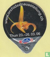 Orchideen 21