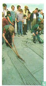 The Boy Ploughmen of St Margaret's Hope - S. Ronaldsay, Orkney Islands