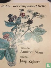 Achter het rimpelend licht