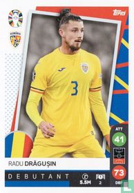 Radu Drăgușin