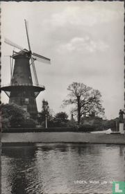 LEIDEN, Molen "De Valk"