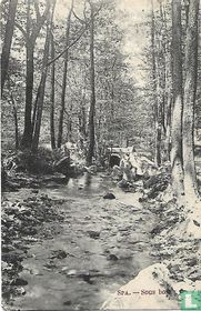 Sous bois