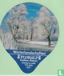 Winterlandschaften 16