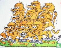 Orange football Lions