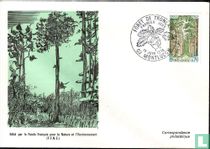 Forêt de Tronçais