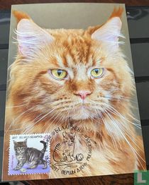 Chats