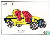 1902 - White