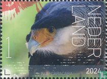 Caracara huppé